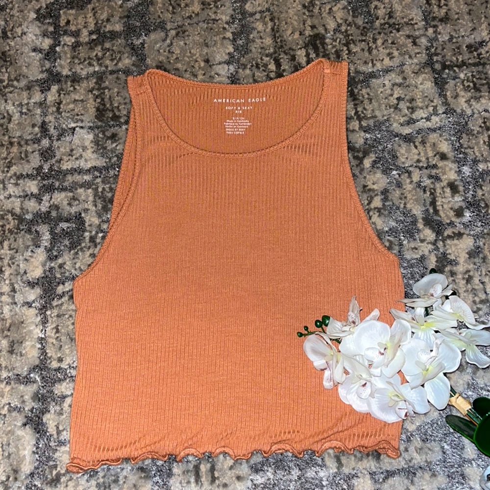 AMERICAN EAGLE SOFT AND SEXY TANK TOP/SHIRT